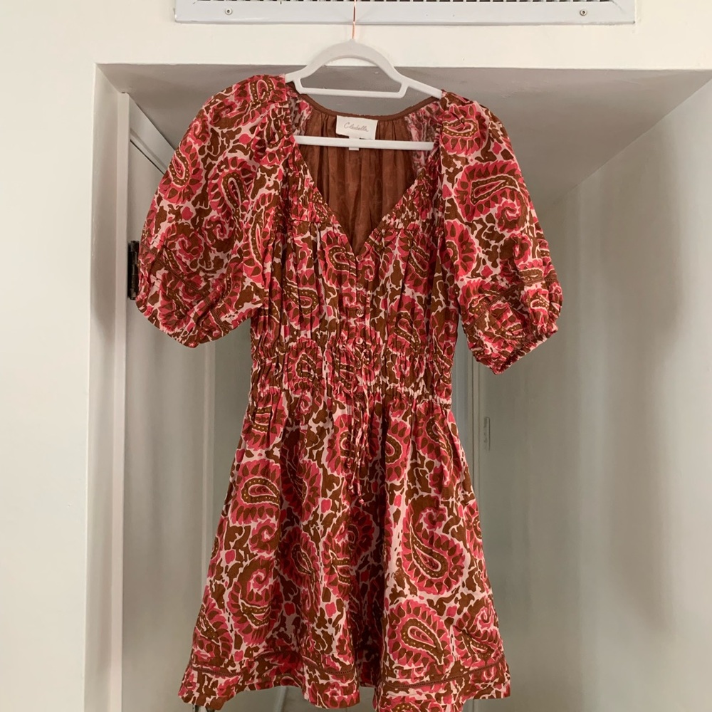 Floral Pink and Brown Dress